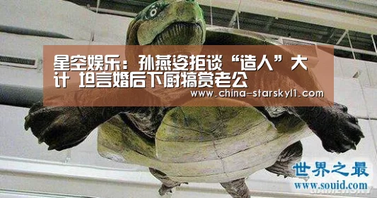 星空娱乐：孙燕姿拒谈“造人”大计 坦言婚后下厨犒赏老公