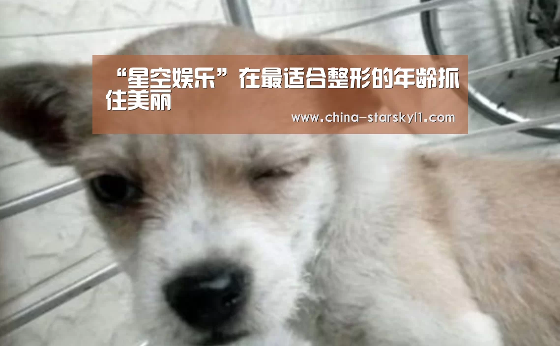 “星空娱乐”在最适合整形的年龄抓住美丽