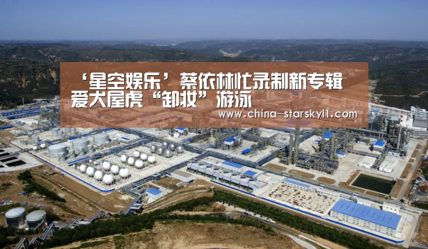 ‘星空娱乐’蔡依林忙录制新专辑 爱犬屋虎“卸妆”游泳(图3) 星空娱乐