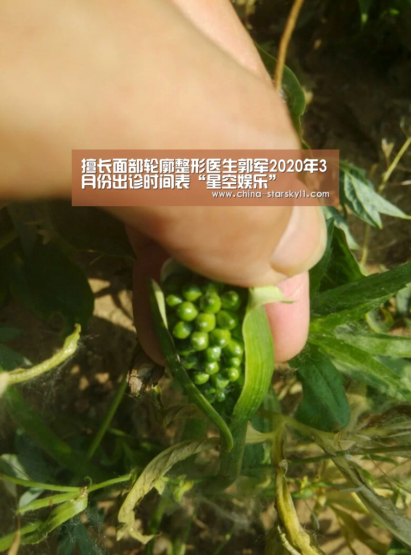 擅长面部轮廓整形医生郭军2020年3月份出诊时间表“星空娱乐”