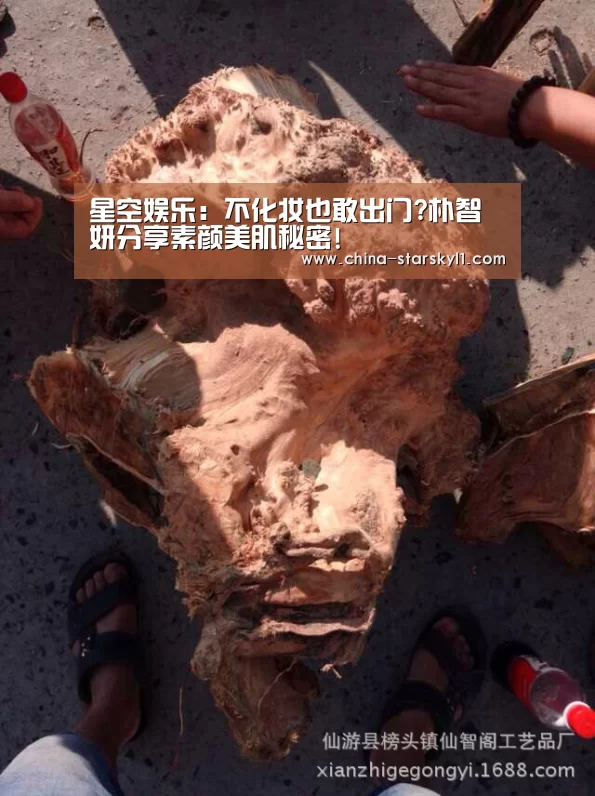 星空娱乐